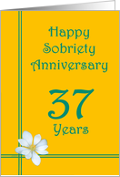37 years Happy Sobriety Anniversary, White Flower card