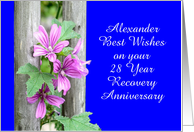 28 Years Alexander,...