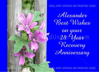 28 Years Alexander,...
