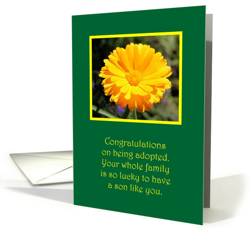 Adoption Congratulations Boy card (1449788)