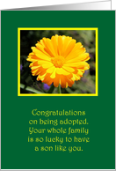 Adoption Congratulations Boy card