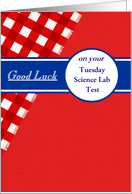 Test Good Luck, on Red Gingham with a Blue Banner. Custom Text card