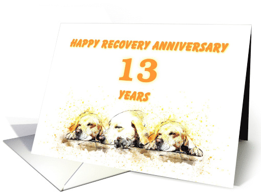13 Years, Happy Anonymous Recovery Anniversary card (1494684)