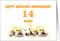14 Years, Happy Anonymous Recovery Anniversary card