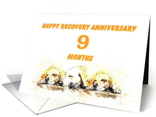 9 Months, Happy Anonymous Recovery Anniversary card (1495556)
