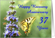 37 Years, Happy Anonymous Recovery Anniversary card