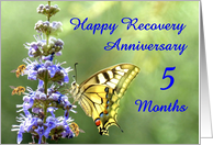 5 Months, Happy Anonymous Recovery Anniversary card