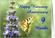 9 Months, Happy Anonymous Recovery Anniversary card