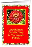 Congratulations, Sobriety Birthday, From the Group, Red Flower, card