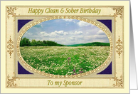 Happy Clean & Sober Birthday, To my Sponsor, Field of flowers, card