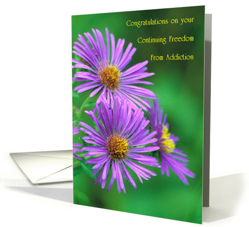 Congratulations, Sixteen Years, New England Aster, card (934932)