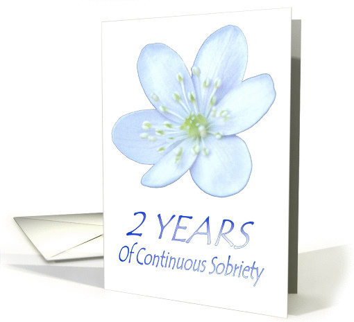 2 YEARS of Continuous Sobriety, Happy Birthday, Pale Blue flower card