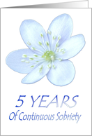 5 YEARS of Continuous Sobriety, Happy Birthday, Pale Blue flower card
