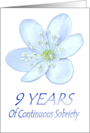 9 YEARS of Continuous Sobriety, Happy Birthday, Pale Blue flower card