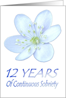 12 YEARS of Continuous Sobriety, Happy Birthday, Pale Blue flower card