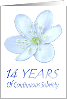 14 YEARS of Continuous Sobriety, Happy Birthday, Pale Blue flower card