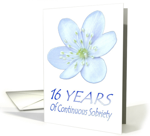 16 YEARS of Continuous Sobriety, Happy Birthday, Pale Blue flower card