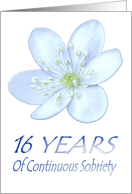 16 YEARS of Continuous Sobriety, Happy Birthday, Pale Blue flower card