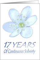 17 YEARS of Continuous Sobriety, Happy Birthday, Pale Blue flower card