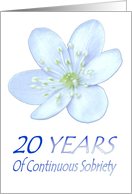 20 YEARS of Continuous Sobriety, Happy Birthday, Pale Blue flower card