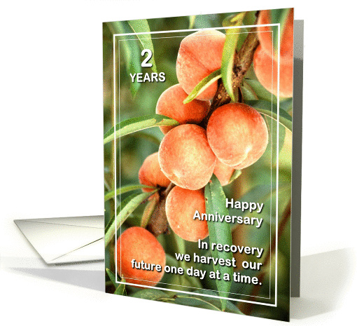 2 Years Happy Anniversary We Harvest our Future card (973541)
