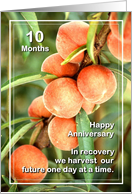 10 Months Happy Anniversary We Harvest our Future card
