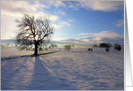 Tree on Moor Beck card