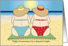 Happy Anniversary - to a Special Lesbian Couple card