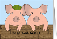 Anniversary - Pigs -...