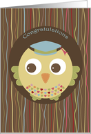 Congratulations - Owl in tree card