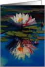Waterlily Blank any Occasion Blank Note Card
