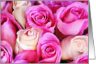 Shades of Pink Roses card