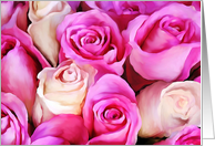 Shades of Pink Roses card