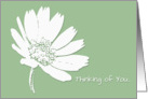 Thinking of You card