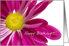 Happy Birthday Purple Daisy card