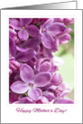 Happy Mother’s Day! Purple Lilac card