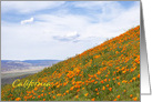 Landscape of Blooming California Poppies Blank Inside card