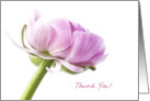 Thank You in Pink card