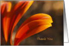 Sunny Afternoon Thank You Note Card