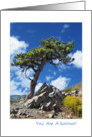 You Are A Survivor Lone Pine Tree card