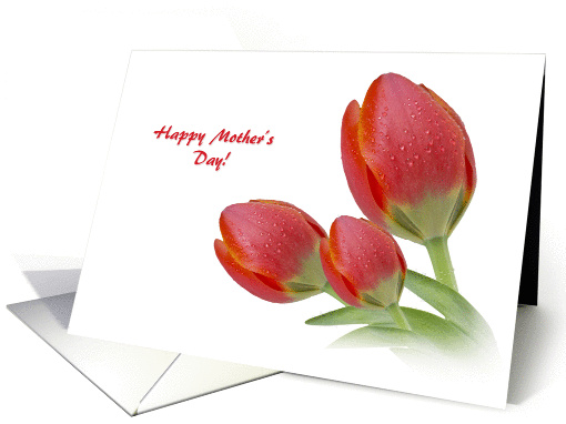 Happy Mother's Day card (1060569)