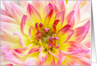 Dahlia card