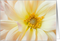 Yellow Dahlia card