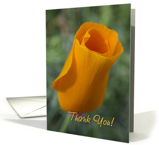 California Poppy card (1278288)