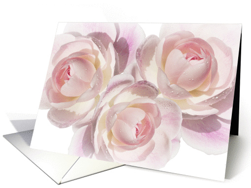 Three Pink Roses card (1285100)