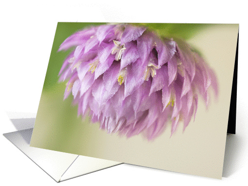 Little Pink Flower Blank Note card (1288840)