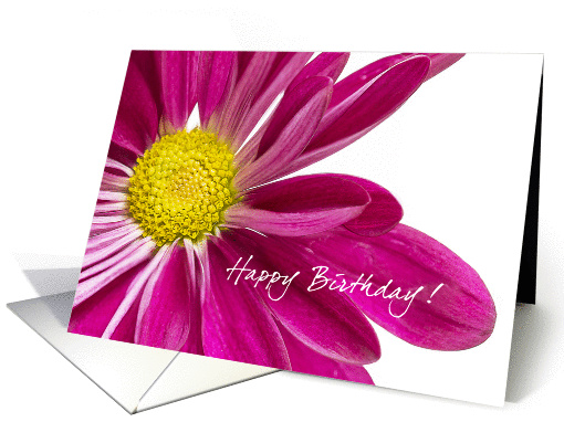 Happy Birthday Purple Daisy card (1316588)