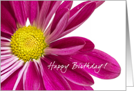 Happy Birthday Purple Daisy card