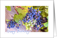Rainbow Grapes Birthday card