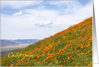 Landscape of Blooming California Poppies Blank Inside card